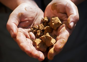 Från lignin till vanillin – resultat från BioLi2.0