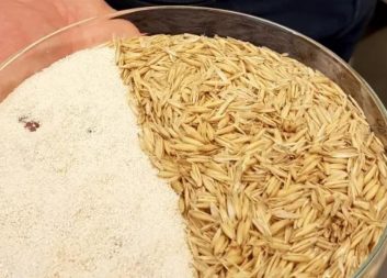 Rester från skog och jordbruk blir nya värdefulla produkter