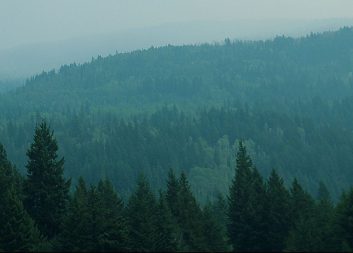 Treesearch och WWSC startar virtuell konferensserie