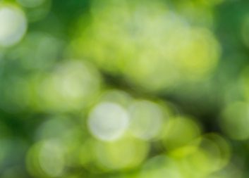 Grimsholm Products AB och DellenCat är nya intressenter i BioInnovation