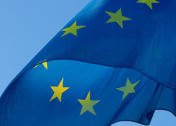 Ta möjligheten att söka stöd för att planera en Horisont Europa-ansökan!