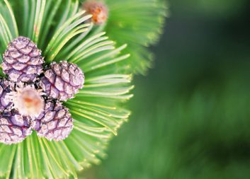 Bioekonomiutredningen har överlämnat slutbetänkande