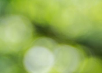 Strategiska innovationsprogram viktiga för Sverige