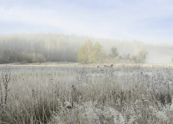 Nytt nyhetsbrev från BioInnovation
