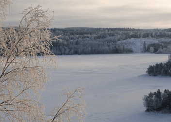 Läs årets första nyhetsbrev!
