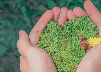 Biobaserad industri måste visa vad den kan erbjuda